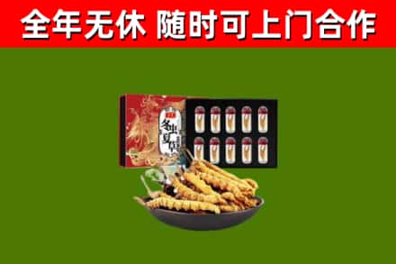 武昌区回收冬虫夏草价格